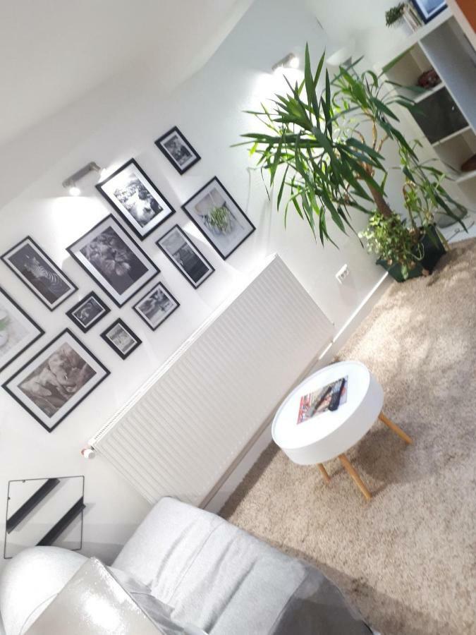 Le Souplex Appartement Troyes Buitenkant foto